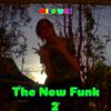 Wild Wes - The New Funk 2