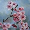 Cherry Blossom
