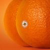 Emotional Oranges - The Juice, Vol. II