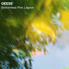 Geese - Bottomless Pink Lagoon