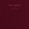 AOA - New Moon