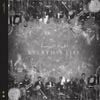Coldplay - Champion of the World / Daddy