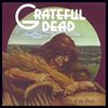 Grateful Dead - Wake of the Flood