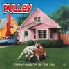 Pulley - Together Again for the First Time