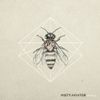 Misty Aviator - 849 Miles