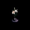 DBUK - Songs One Through Eight