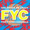 Fine Young Cannibals - She Drives Me Crazy