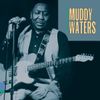 Muddy Waters - King of the Electric Blues