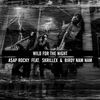 A$AP Rocky - Wild for the Night