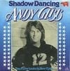 Andy Gibb - Shadow Dancing