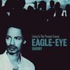 Eagle-Eye Cherry - Living in the Present Future