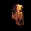 Alice in Chains - Nothing Safe