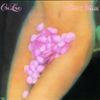 David T. Walker - On Love