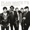 Plain White T's - Big Bad World
