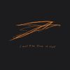 Andrew Bird - I Want to See Pulaski at Night