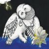 Songs: Ohia - The Magnolia Electric Co. [10th Anniversary Edition]