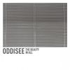 Oddisee - The Beauty in All