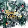 Bomba Estéreo - Elegancia Tropical