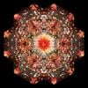 Gold Panda - Half of Where You Live
