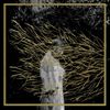Forest Swords - Engravings