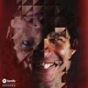 Animal Collective - Spotify Sessions