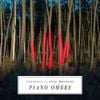 Frànçois & the Atlas Mountains - Piano Ombre
