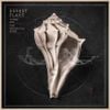 Robert Plant - Lullaby and... The Ceaseless Roar