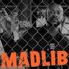 Madlib - Rock Konducta Pt. 2