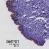 Ghostpoet - Shedding Skin