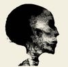 Chaos Ech&oelig;s - Transient