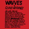 Wavves - No Life For Me