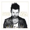 David Cook - Digital Vein