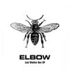 Elbow - Lost Worker Bee