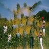 Allah-Las - Aquarium Drunkard's Lagniappe Session