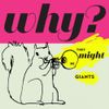 They Might Be Giants - Why?