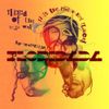 Animal Collective - FloriDada
