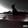 Robb Bank$ - Year Of The Savage
