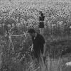 Jesu/Sun Kil Moon - Jesu / Sun Kil Moon