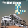 The High Llamas - Here Come the Rattling Trees