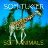 SOFI TUKKER - Soft Animals
