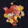Oshwa - I We You Me