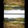 Maggie Rogers - Alaska