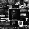 Dame D.O.L.L.A - The Letter O