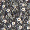 Castlebeat