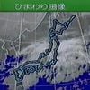 天気予報 [Weather Forecast] - ひまわり画像 [Sunflower Image]