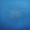 Dirty Projectors - Little Bubble