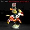 Gov't Mule - Revolution Come &hellip; Revolution Go