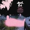 Ariel Pink - Dedicated to Bobby Jameson