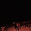 BAMBARA - Shadow on Everything