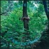 Tomberlin - Projections